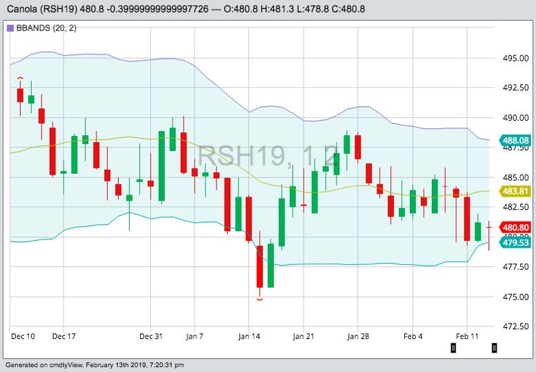 ICE March 2019 canola with 20-day moving average. (Barchart)
